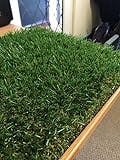 Luxury 30mm Pile Height Artificial Grass | Choose from 47 Sizes on this Listing | Cheap Natural & Realistic Looking Astro Garden Lawn | 4 x 6.5m of Cheap High Density Fake Turf